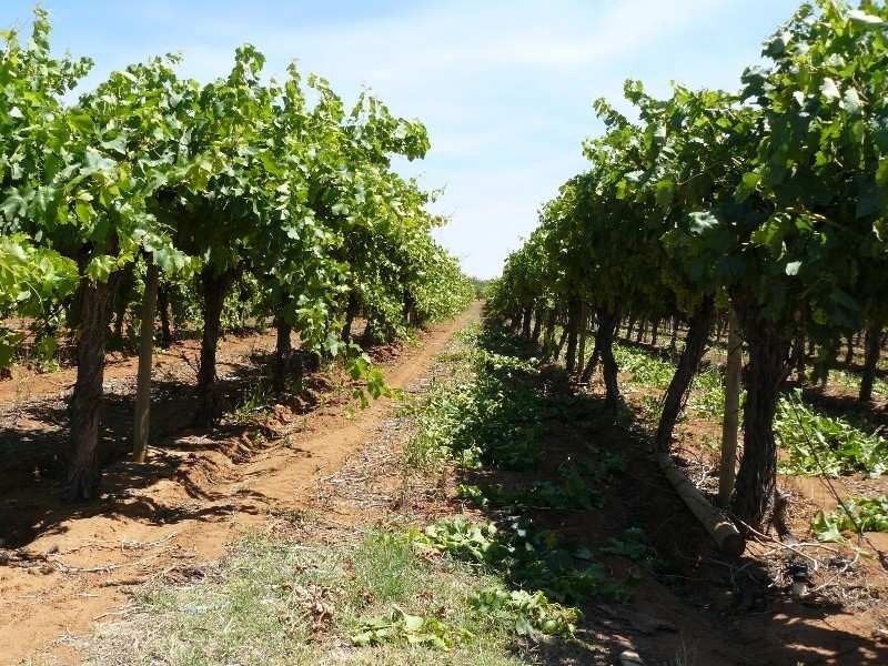 Block 53 Second Street, Merbein VIC 3505