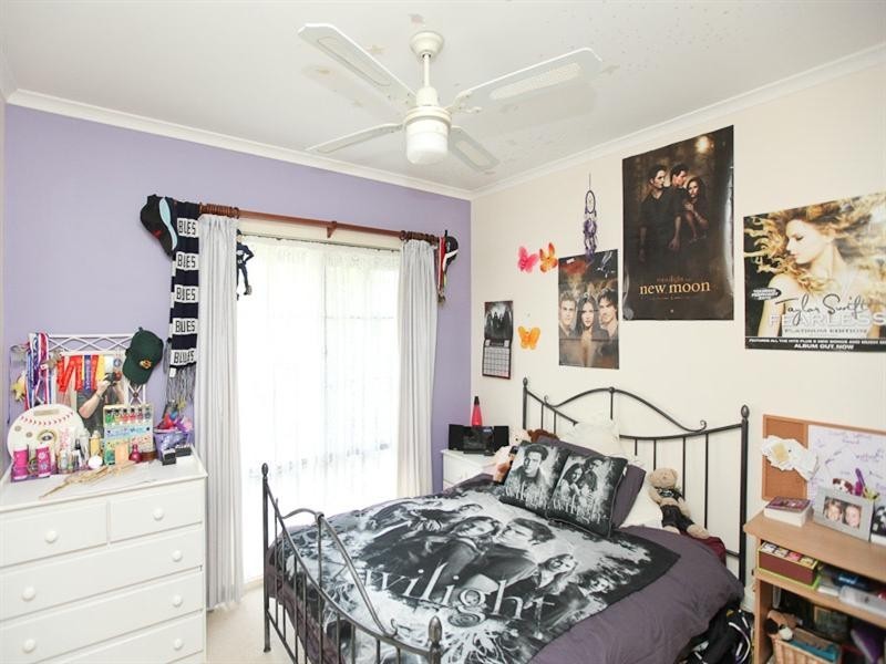 8 Chaffey Park Drive, Merbein VIC 3505