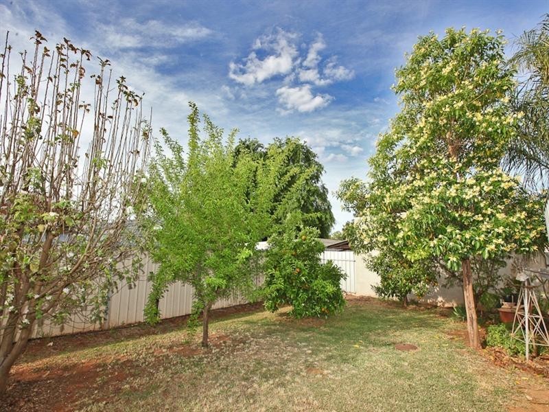 49 Nardoo Street, Red Cliffs VIC 3496