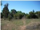 231 Commercial Street, Merbein VIC 3505
