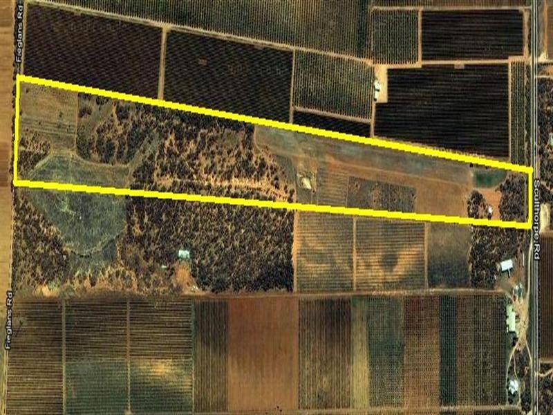 410 Sculthorpe Road, Nangiloc VIC 3494