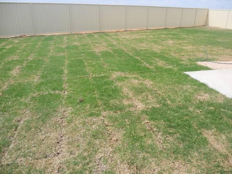 12 Immacolata Rise, Red Cliffs VIC 3496