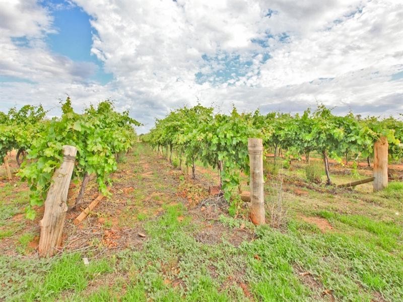 505 Koorlong Avenue, Irymple VIC 3498