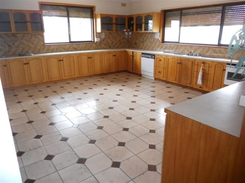 100 Dewry Avenue, Irymple VIC 3498