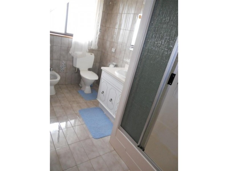 100 Dewry Avenue, Irymple VIC 3498