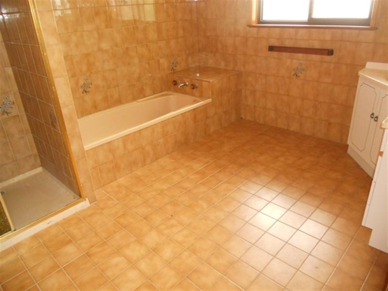 100 Dewry Avenue, Irymple VIC 3498