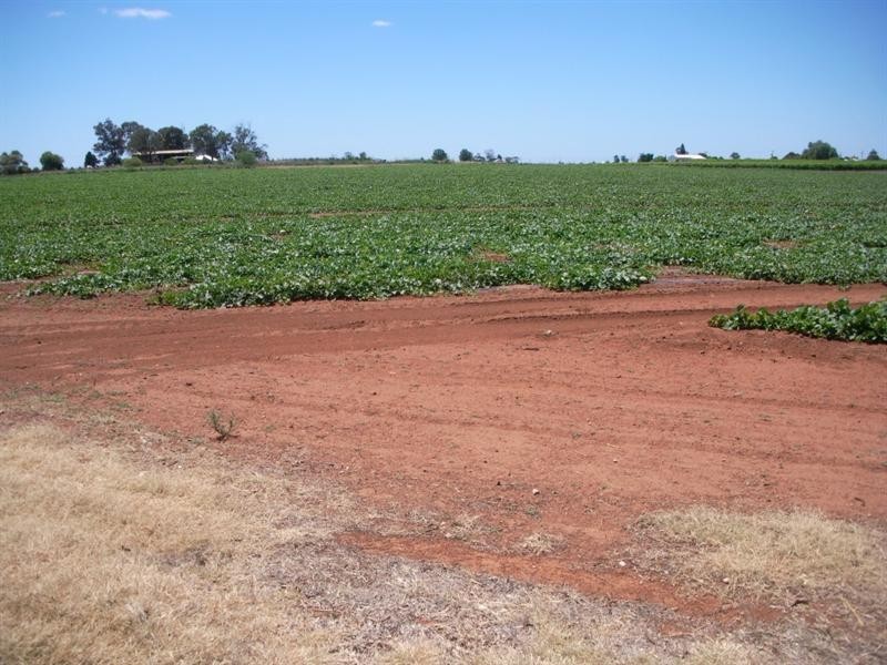 Lot 1 Freeman Road, Red Cliffs VIC 3496