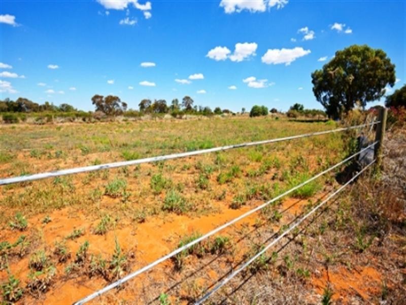 59 McCarthys Road, Merbein South VIC 3505