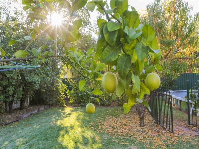 185 Olive Grove, Mildura VIC 3500