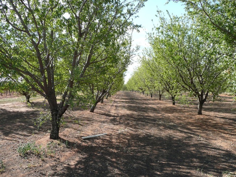 654/655 Ropers Road, Cardross VIC 3496