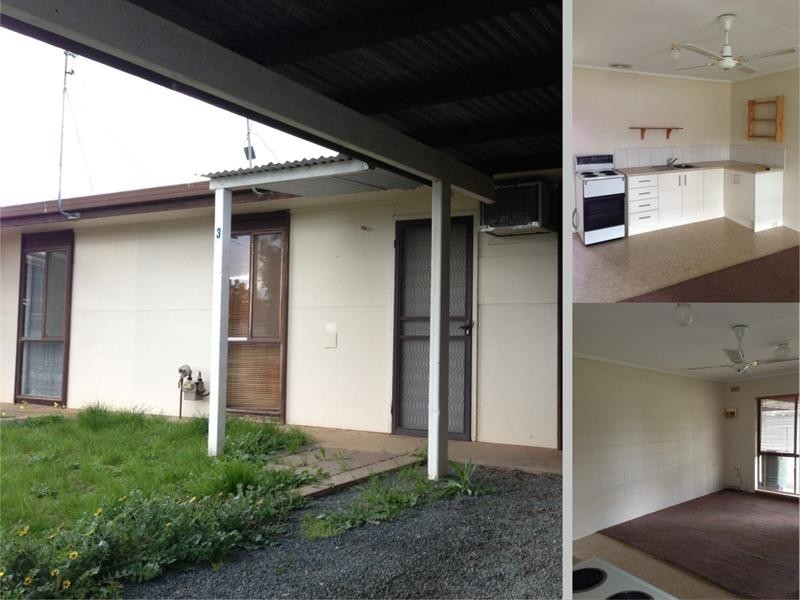 Unit 3, 55 Dudley Street, Rochester VIC 3561