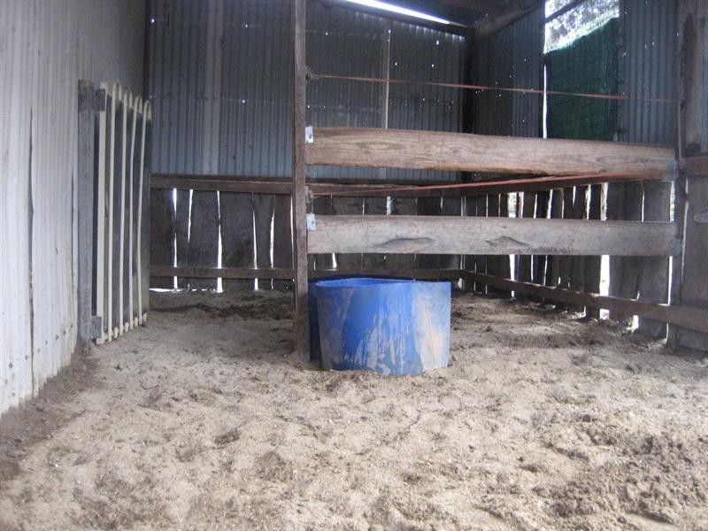 298 O’Dwyer Road, Wharparilla, Echuca VIC 3564