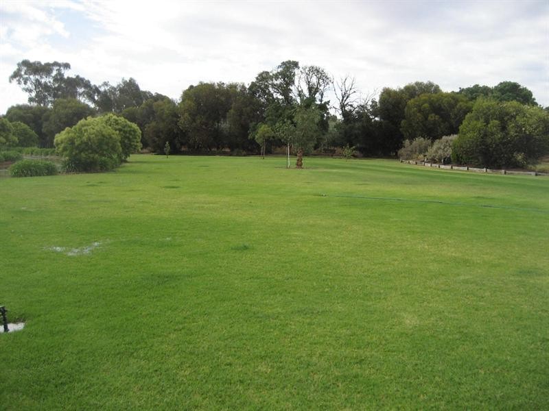 298 O’Dwyer Road, Wharparilla, Echuca VIC 3564