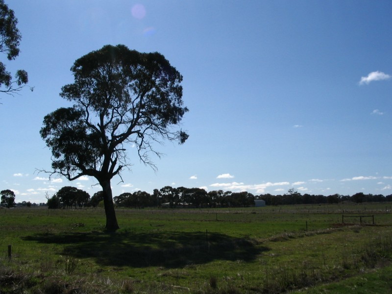 0 Dingee Road, Rochester VIC 3561