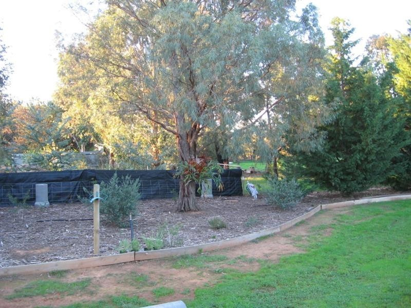 256 Cohen Road, Rochester VIC 3561