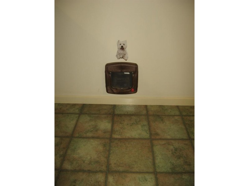 36 Kerford Street, Rochester VIC 3561