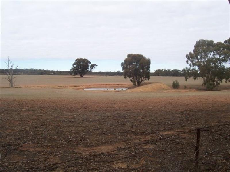 485 Somerville Road, Berrimal VIC 3518