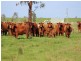 1179 Restdown Road, Bamawm VIC 3561