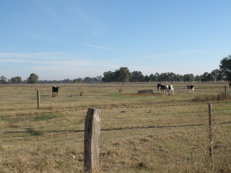 563 Echuca Nanneella Road, Nanneella VIC 3561