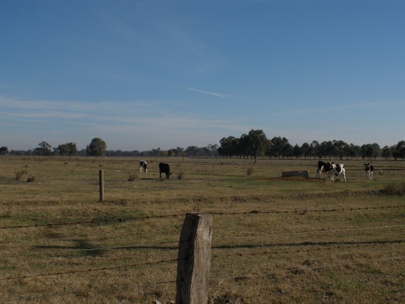 563 Echuca Nanneella Road, Nanneella VIC 3561