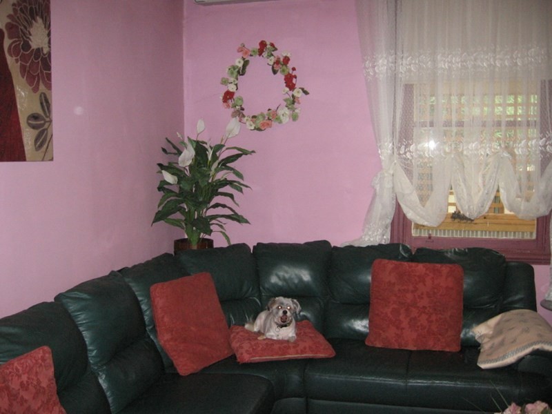 143 Michie Street, Elmore VIC 3558