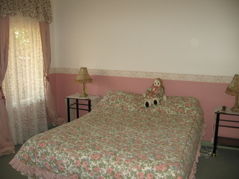 17 Jeffrey Street, Elmore VIC 3558