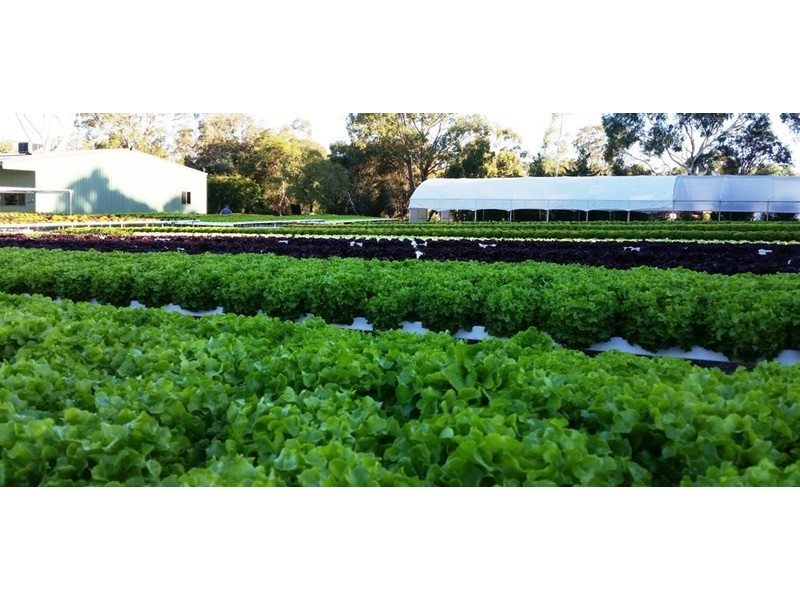 64 Pianta Road, Echuca VIC 3564