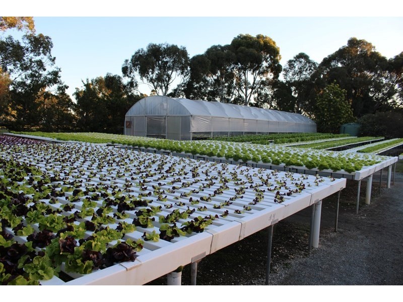 64 Pianta Road, Echuca VIC 3564