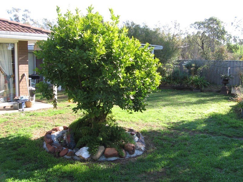 45 Hood Street, Rochester VIC 3561