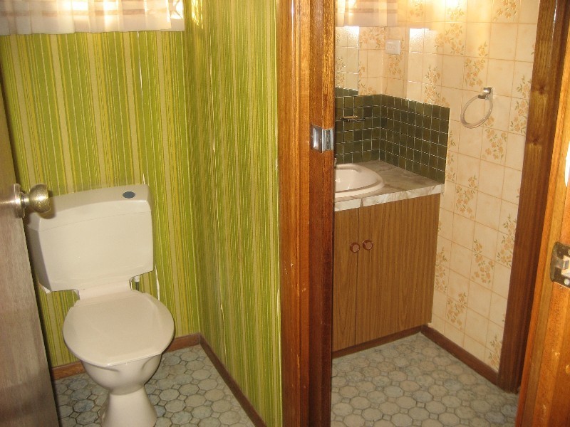 52 Hopetoun Street, Rochester VIC 3561