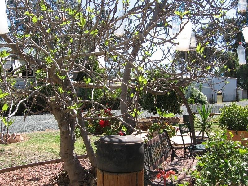 46 McKenzie Street, Rochester VIC 3561