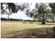 695 Bamawm Hall Road, Bamawm VIC 3561