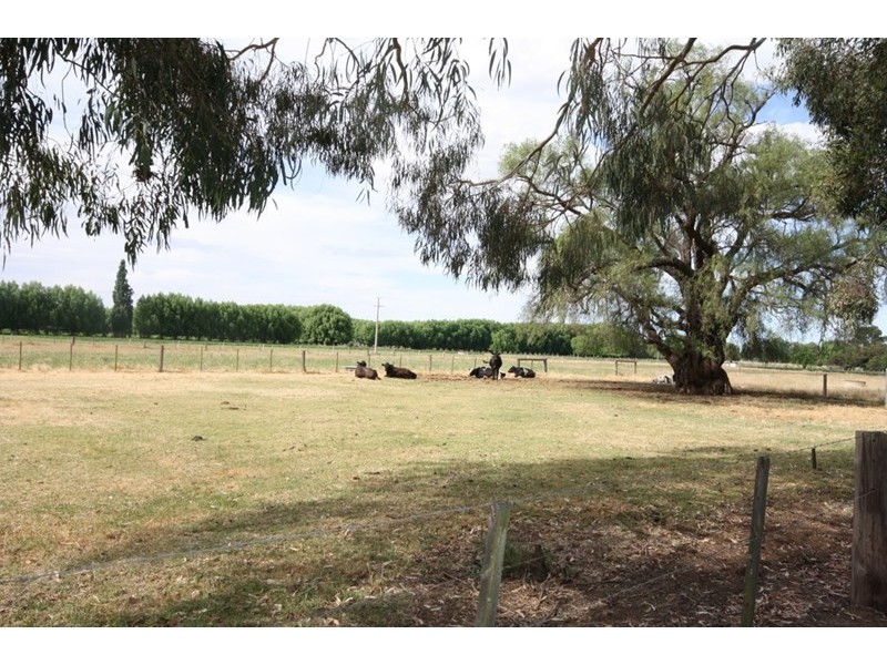 695 Bamawm Hall Road, Bamawm VIC 3561