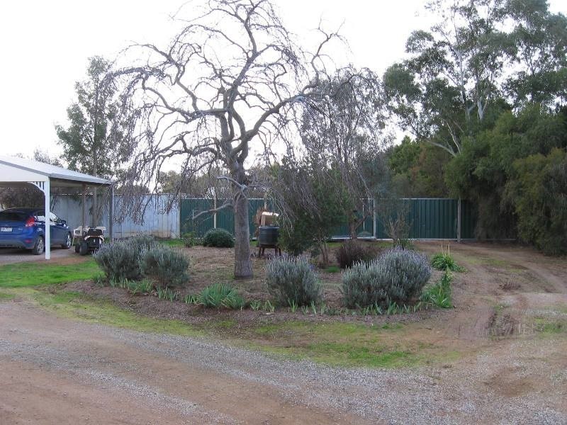 84 Pascoe Street, Rochester VIC 3561