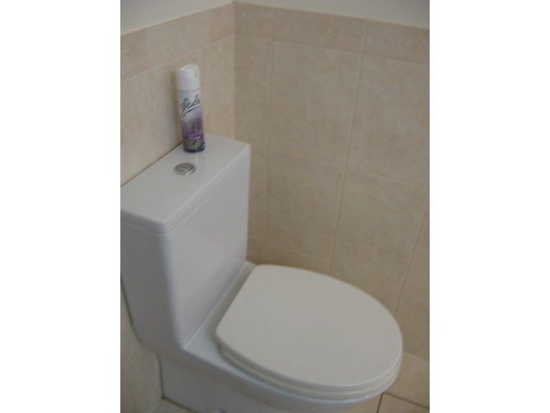 84 Pascoe Street, Rochester VIC 3561