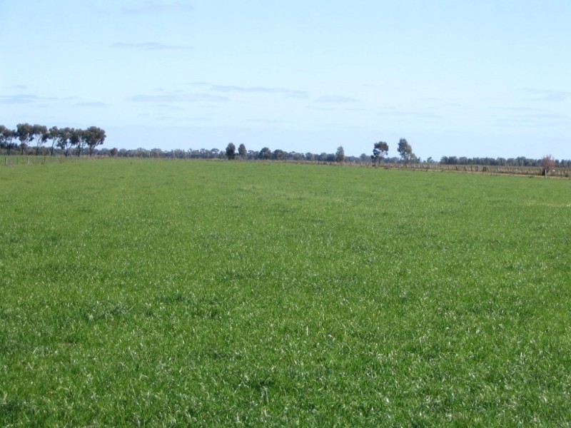 627 Bakers Road, Dingee VIC 3571