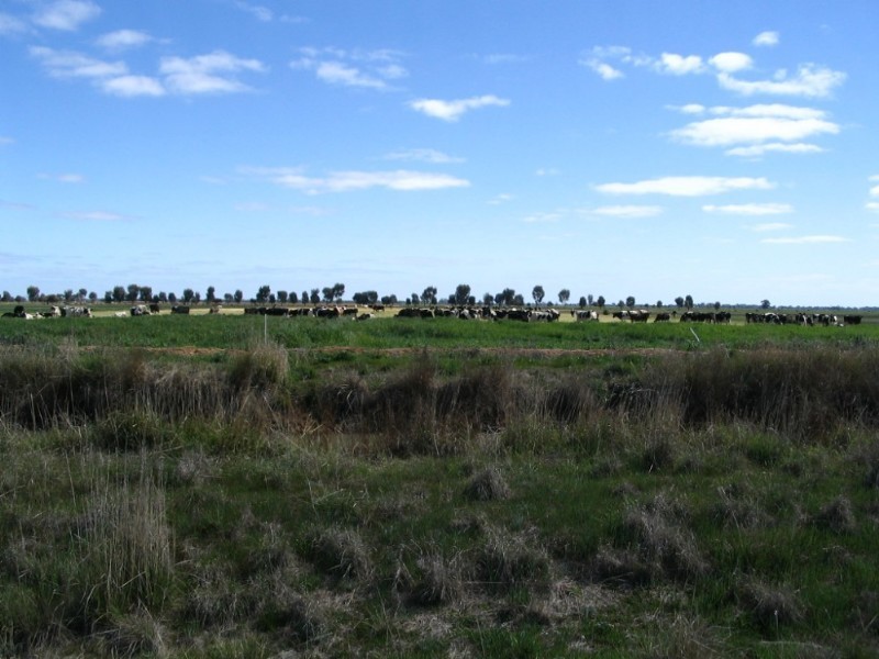 627 Bakers Road, Dingee VIC 3571