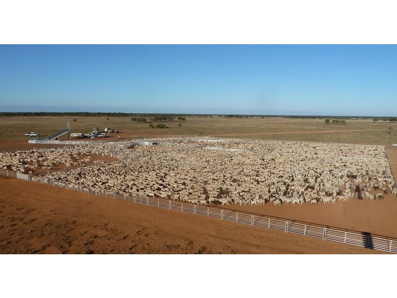 6 Hickey Drive, Moama NSW 2731