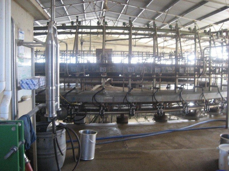 806 Pyramid Yarraberb Road, Calivil VIC 3573