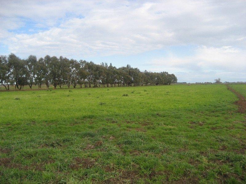 806 Pyramid Yarraberb Road, Calivil VIC 3573