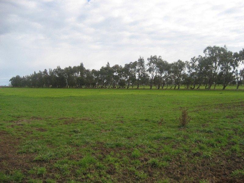 806 Pyramid Yarraberb Road, Calivil VIC 3573