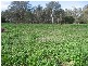 0 Burgoine Road, Rochester VIC 3561