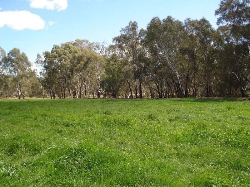 131 Brooks Road, Rochester VIC 3561