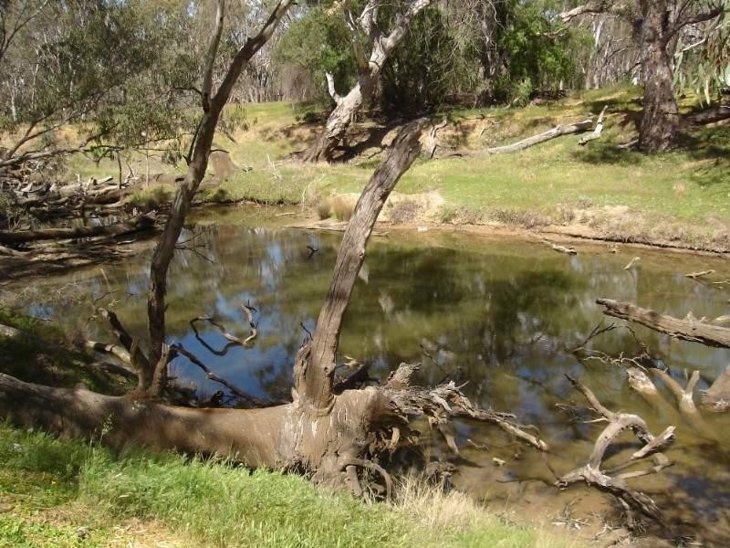 131 Brooks Road, Rochester VIC 3561