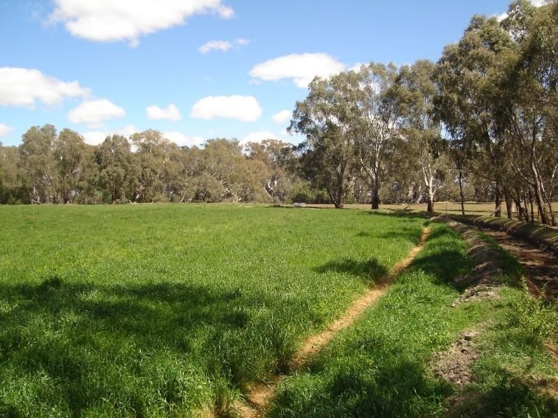 131 Brooks Road, Rochester VIC 3561