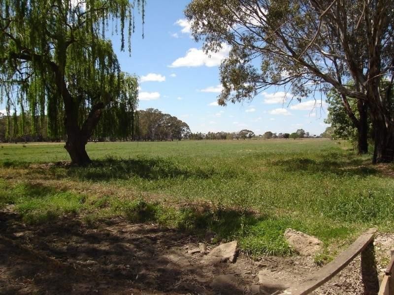 131 Brooks Road, Rochester VIC 3561