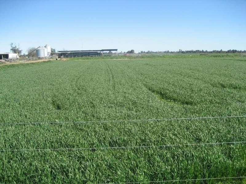 132 Byrne Road, Nanneella VIC 3561