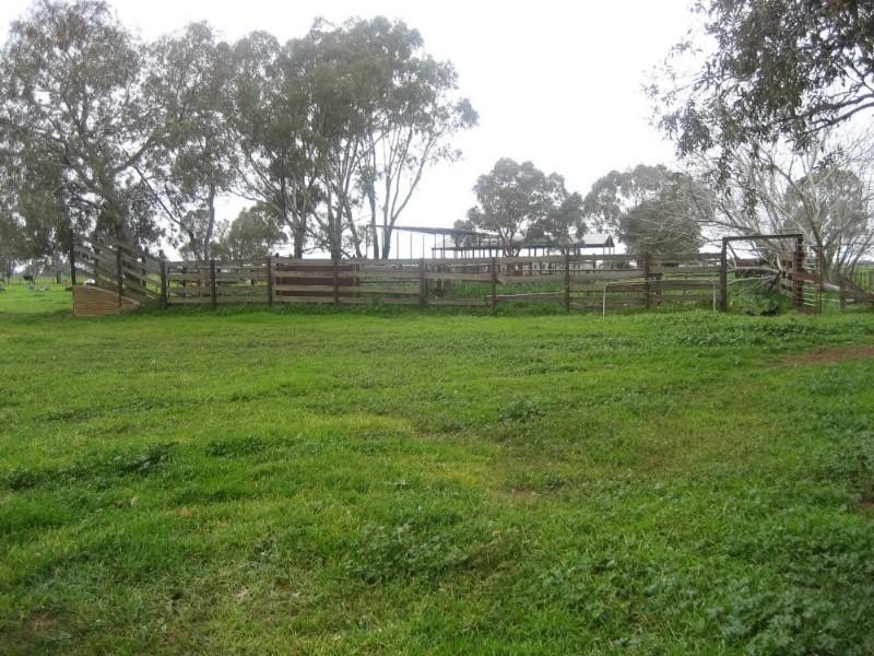 2505 Prairie Road, Tennyson VIC 3572