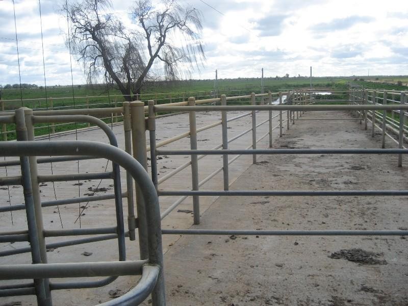 782 Lakeys Road, Dingee VIC 3571