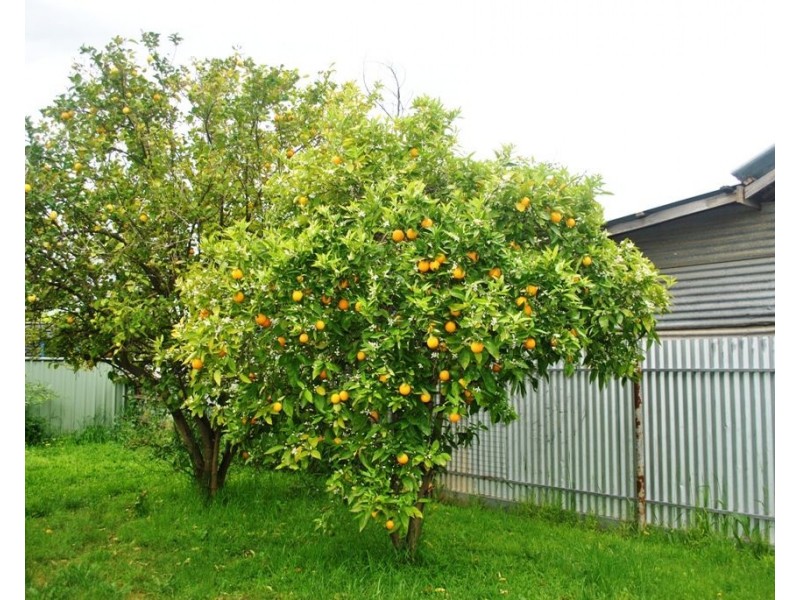 29 Hopetoun Street, Rochester VIC 3561